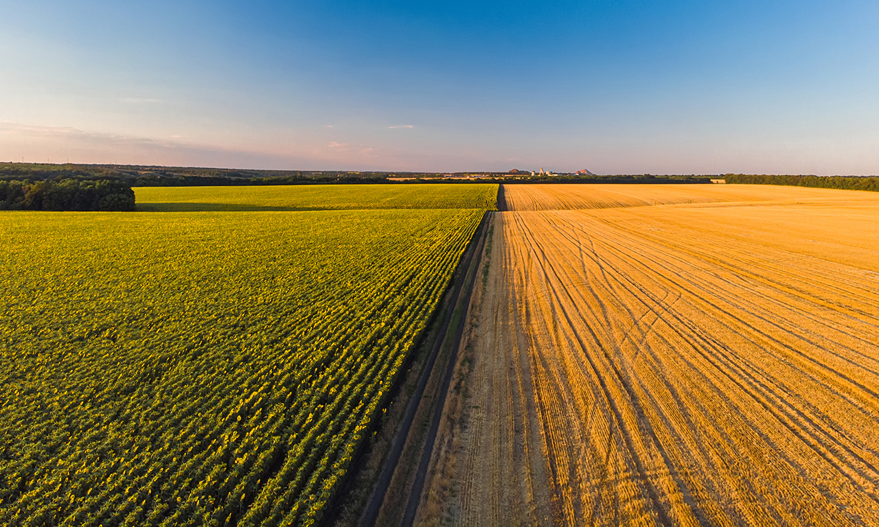 Programa de Subvenção ao Prêmio do Seguro Rural (PSR), o que é e como funciona